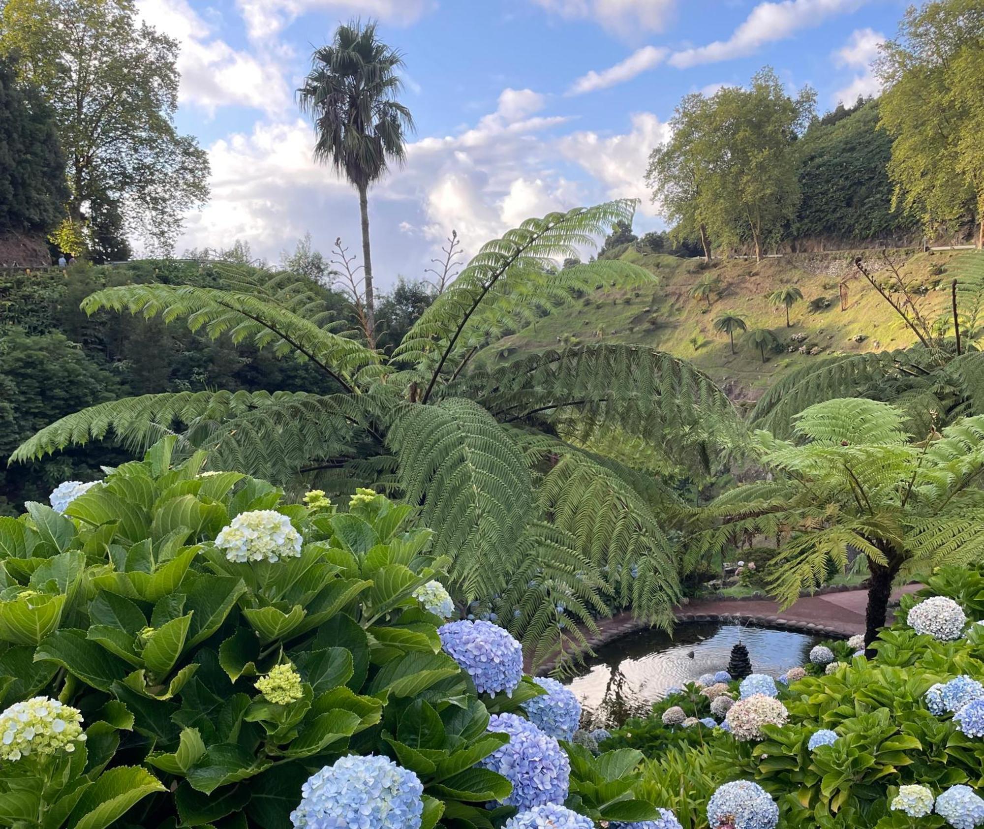 Casa Amelia Villa Feteira Grande ภายนอก รูปภาพ